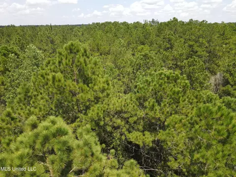 Off Doe Ridge Highland, Lucedale, MS 39452 photo 13