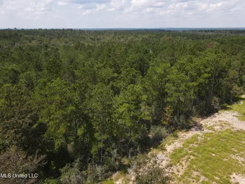 Off Doe Ridge Highland, Lucedale, MS 39452 photo 9