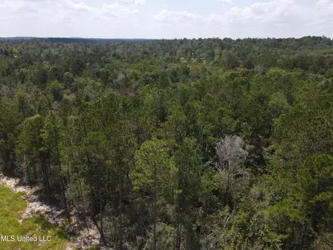 Off Doe Ridge Highland, Lucedale, MS 39452 photo 8