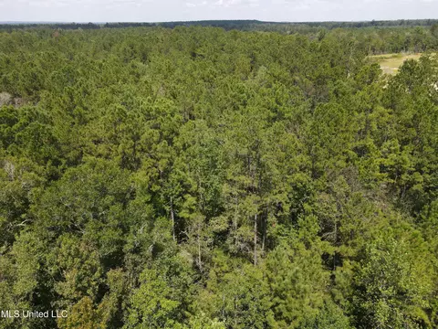 Off Doe Ridge Highland, Lucedale, MS 39452 photo 11
