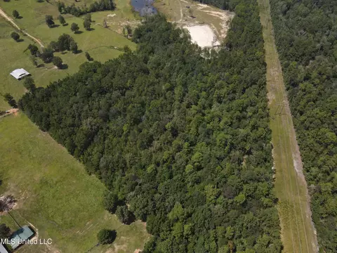 Off Doe Ridge Highland, Lucedale, MS 39452 photo 3