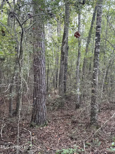 Off Doe Ridge Highland, Lucedale, MS 39452 photo 15