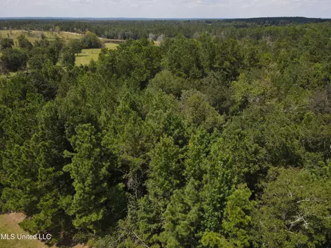 Off Doe Ridge Highland, Lucedale, MS 39452 photo 9