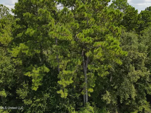 Off Doe Ridge Highland, Lucedale, MS 39452 photo 5