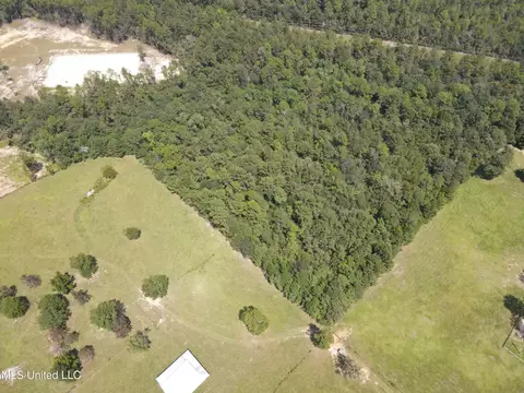 Off Doe Ridge Highland, Lucedale, MS 39452 photo 2