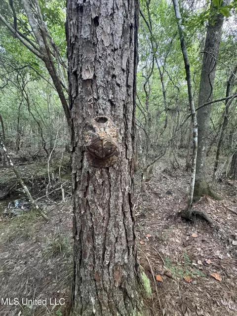 Off Doe Ridge Highland, Lucedale, MS 39452 photo 11