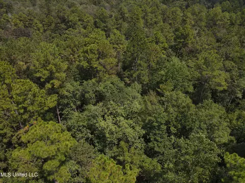 Off Doe Ridge Highland, Lucedale, MS 39452 photo 7