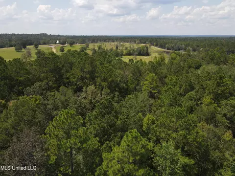 Off Doe Ridge Highland, Lucedale, MS 39452 photo 8