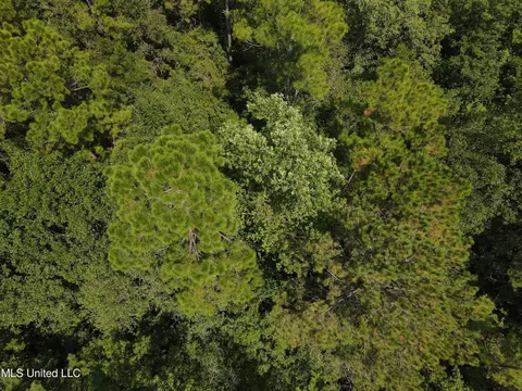 Off Doe Ridge Highland, Lucedale, MS 39452 photo 6