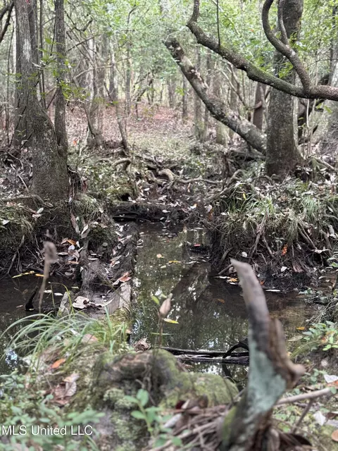 Off Doe Ridge Highland, Lucedale, MS 39452 photo 16