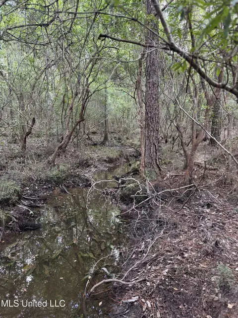 Off Doe Ridge Highland, Lucedale, MS 39452 photo 10