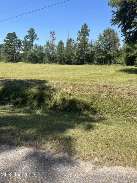 477 Oneal Rd, Perkinston, MS 39573 photo 33