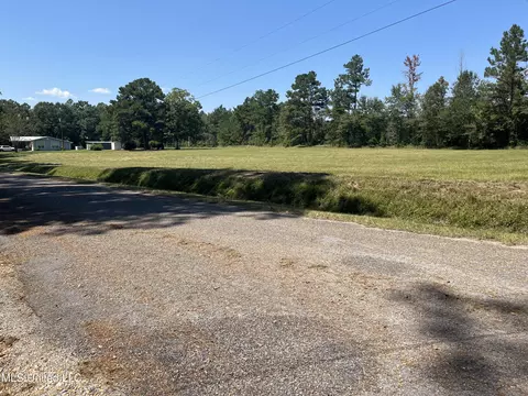 477 Oneal Rd, Perkinston, MS 39573 photo 34