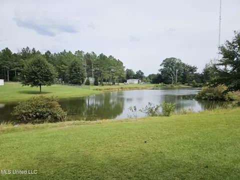 View/Area - 1020 Diane Cir, Summit, MS 39666 photo 2 of 2