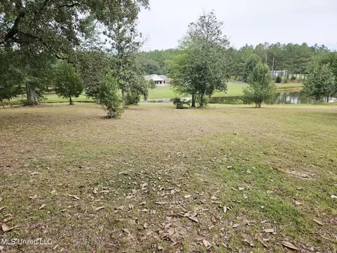 Other - 1020 Diane Cir, Summit, MS 39666 photo 3 of 9
