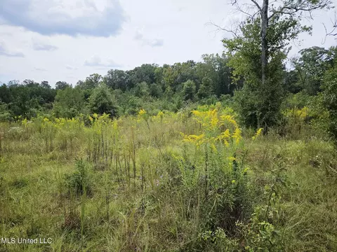 Other - 1020 Diane Cir, Summit, MS 39666 photo 5 of 9