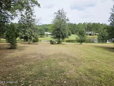 Exterior - 1020 Diane Cir, Summit, MS 39666 photo 3 of 9