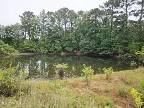 View/Area - 1020 Diane Cir, Summit, MS 39666 photo 1 of 2