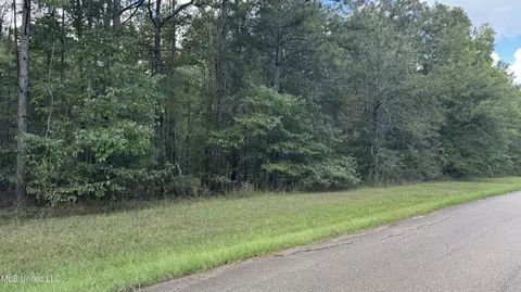 E Moore Tower Road, Forest, MS 39074