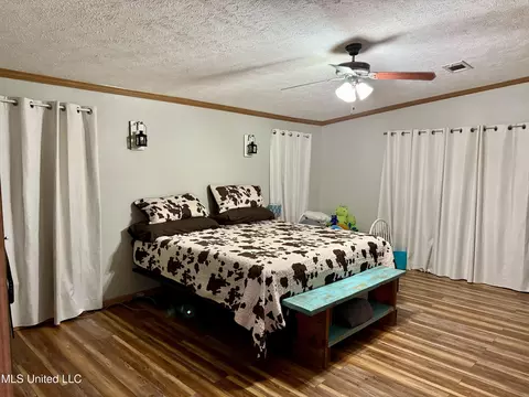 126 Mac Rd, Conehatta, MS 39057 photo 14