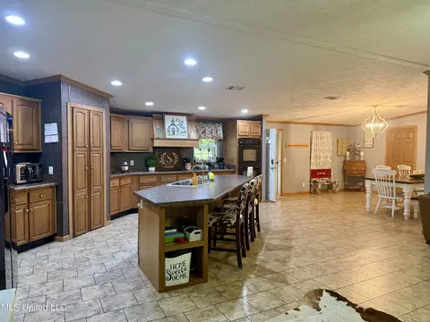 126 Mac Rd, Conehatta, MS 39057 photo 2