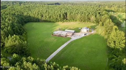 126 Mac Rd, Conehatta, MS 39057 photo 44