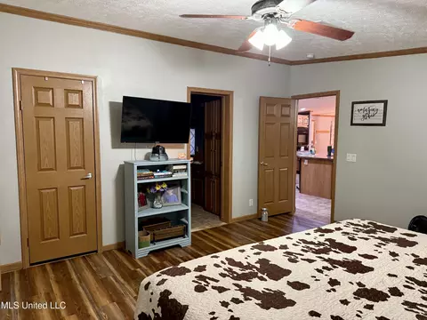 126 Mac Rd, Conehatta, MS 39057 photo 16