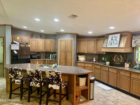 126 Mac Rd, Conehatta, MS 39057 photo 6