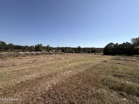 SW Summit Drive, Bogue Chitto, MS 39629