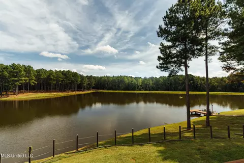 View/Area - 4170 Ms-13, Morton, MS 39117 photo 14 of 15