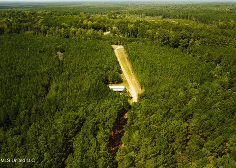 Other - 4170 Ms-13, Morton, MS 39117 photo 8 of 44