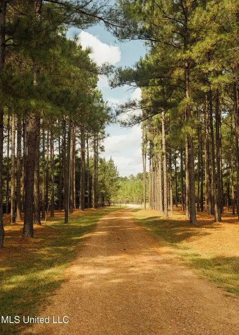Other - 4170 Ms-13, Morton, MS 39117 photo 34 of 44