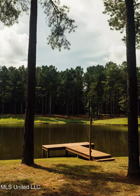 Other - 4170 Ms-13, Morton, MS 39117 photo 29 of 44
