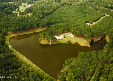 View/Area - 4170 Ms-13, Morton, MS 39117 photo 5 of 15