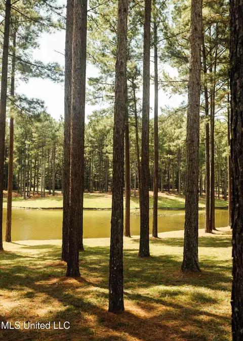 Other - 4170 Ms-13, Morton, MS 39117 photo 37 of 44