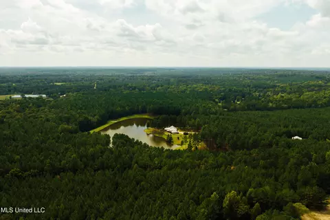 View/Area - 4170 Ms-13, Morton, MS 39117 photo 9 of 15