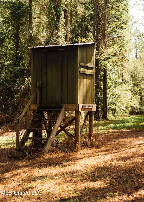 Exterior - 4170 Ms-13, Morton, MS 39117 photo 19 of 19