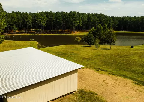 View/Area - 4170 Ms-13, Morton, MS 39117 photo 12 of 15