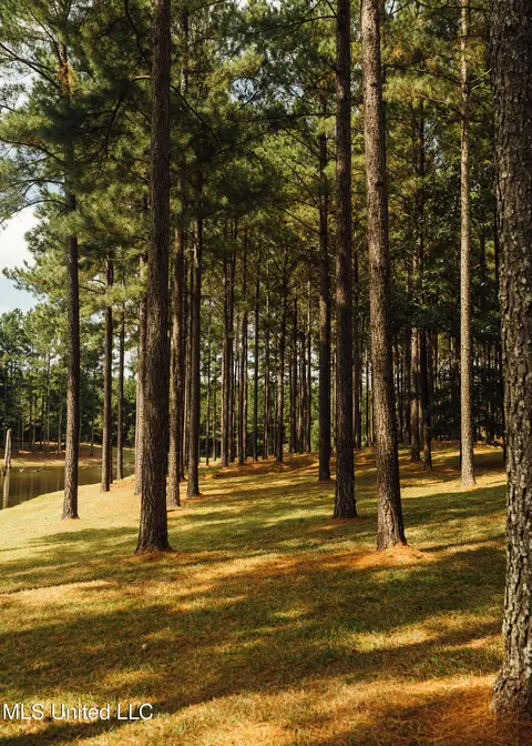 Other - 4170 Ms-13, Morton, MS 39117 photo 30 of 44