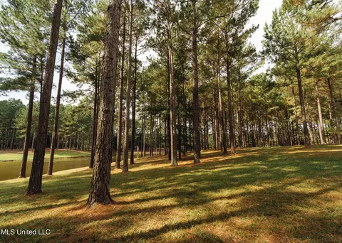 Other - 4170 Ms-13, Morton, MS 39117 photo 25 of 44