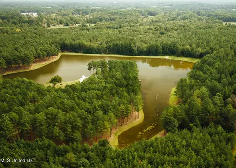 View/Area - 4170 Ms-13, Morton, MS 39117 photo 3 of 15