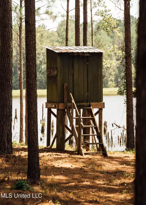Other - 4170 Ms-13, Morton, MS 39117 photo 44 of 44