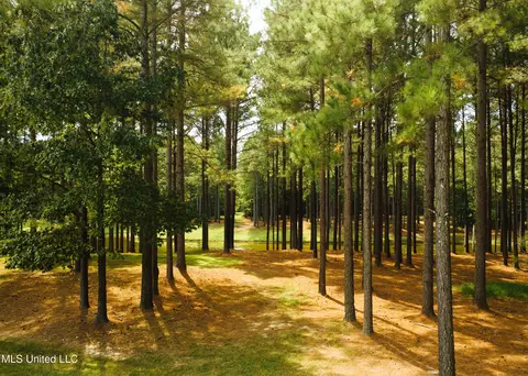 Other - 4170 Ms-13, Morton, MS 39117 photo 9 of 44
