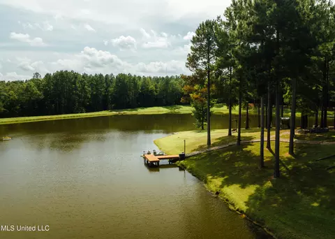 View/Area - 4170 Ms-13, Morton, MS 39117 photo 13 of 15