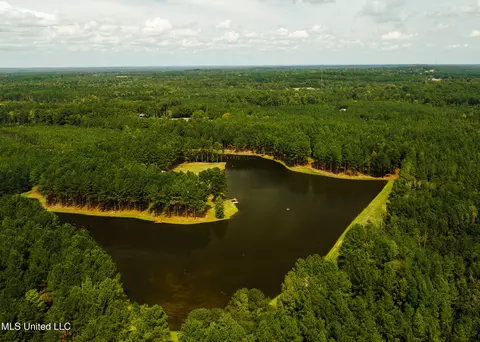 View/Area - 4170 Ms-13, Morton, MS 39117 photo 11 of 15