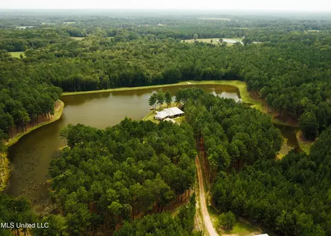 View/Area - 4170 Ms-13, Morton, MS 39117 photo 1 of 15
