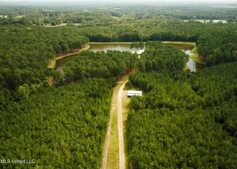 View/Area - 4170 Ms-13, Morton, MS 39117 photo 2 of 15