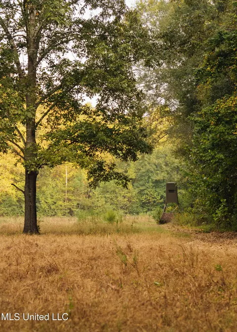 Pea Ridge Rd, Lexington, MS 39095
