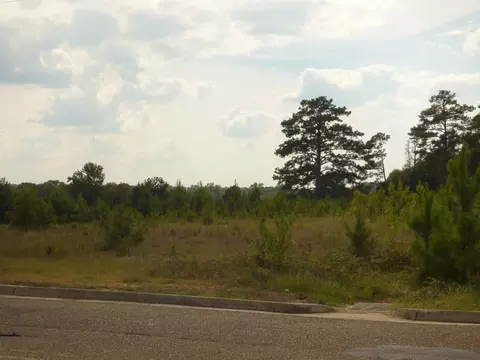 Anna Drive, Mccomb, MS 39648 photo 5