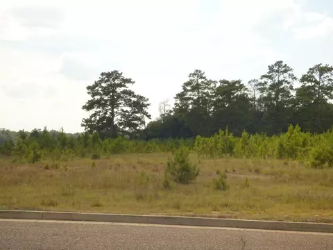 Anna Drive, Mccomb, MS 39648 photo 2